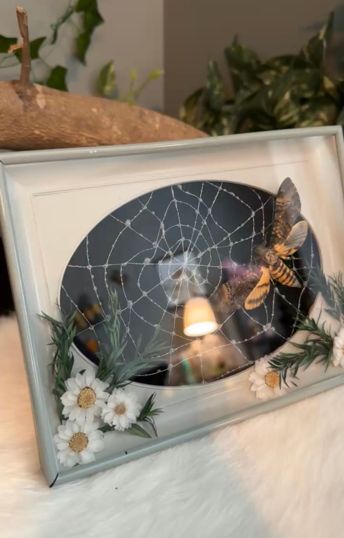 Death head moth (handmade spiderweb)