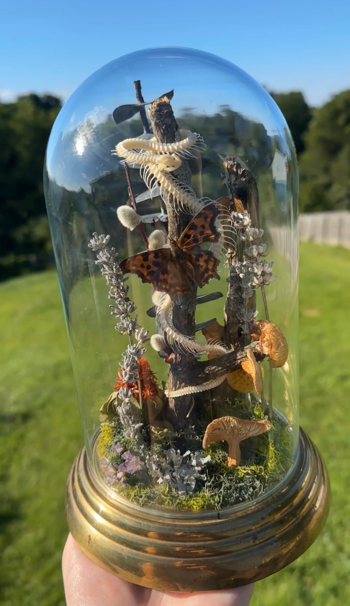 Snake skeleton cloche