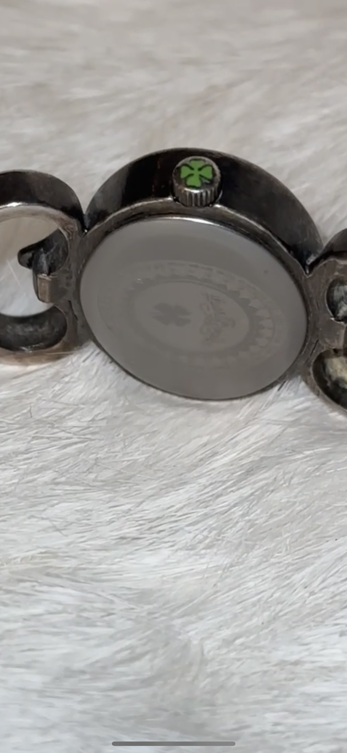 Lucky brand 🍀 4 leaf clover and lady bug