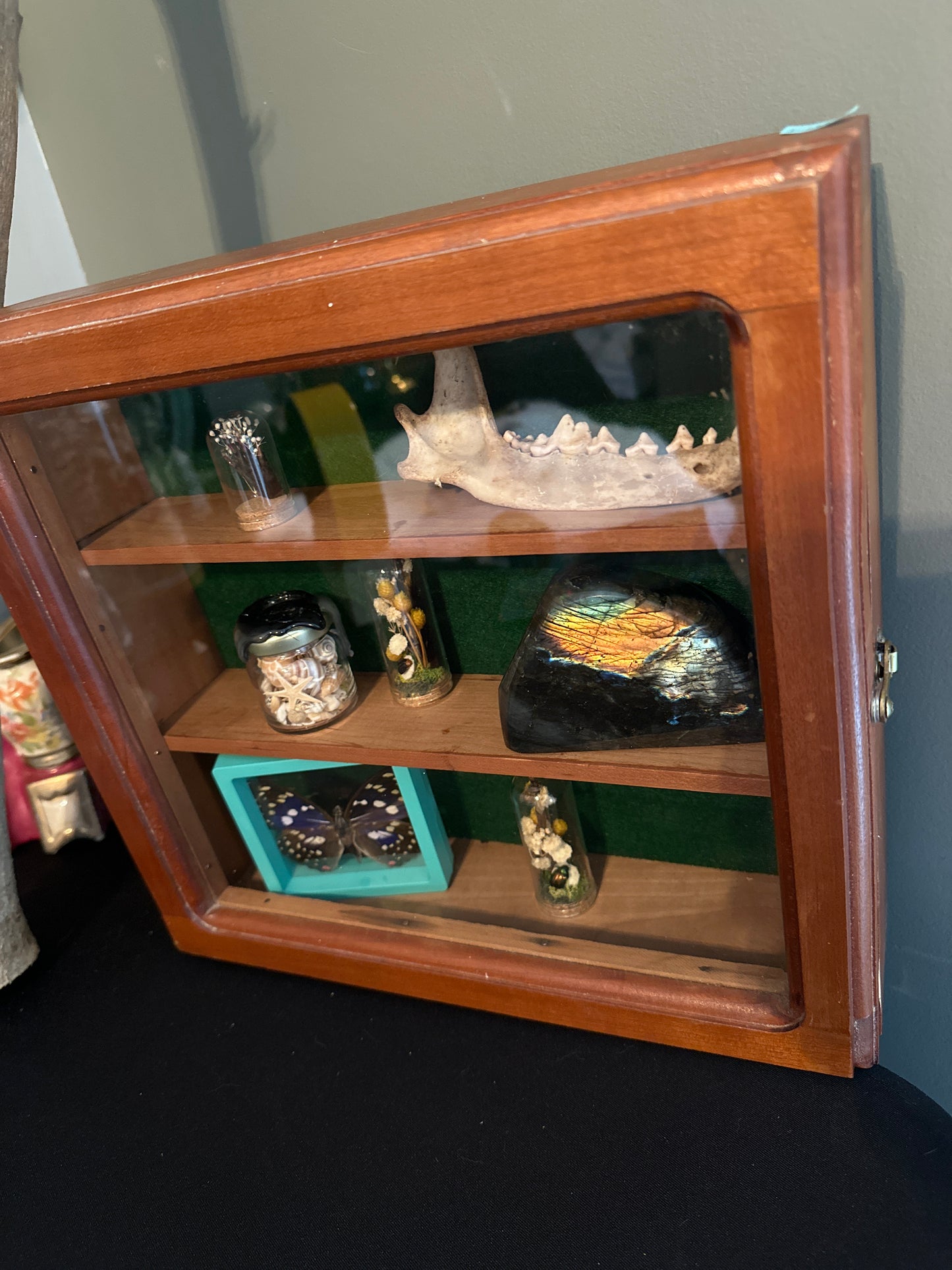 Oddity shelf