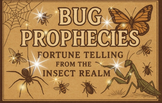 1 fortune from the insect realm 🔮
