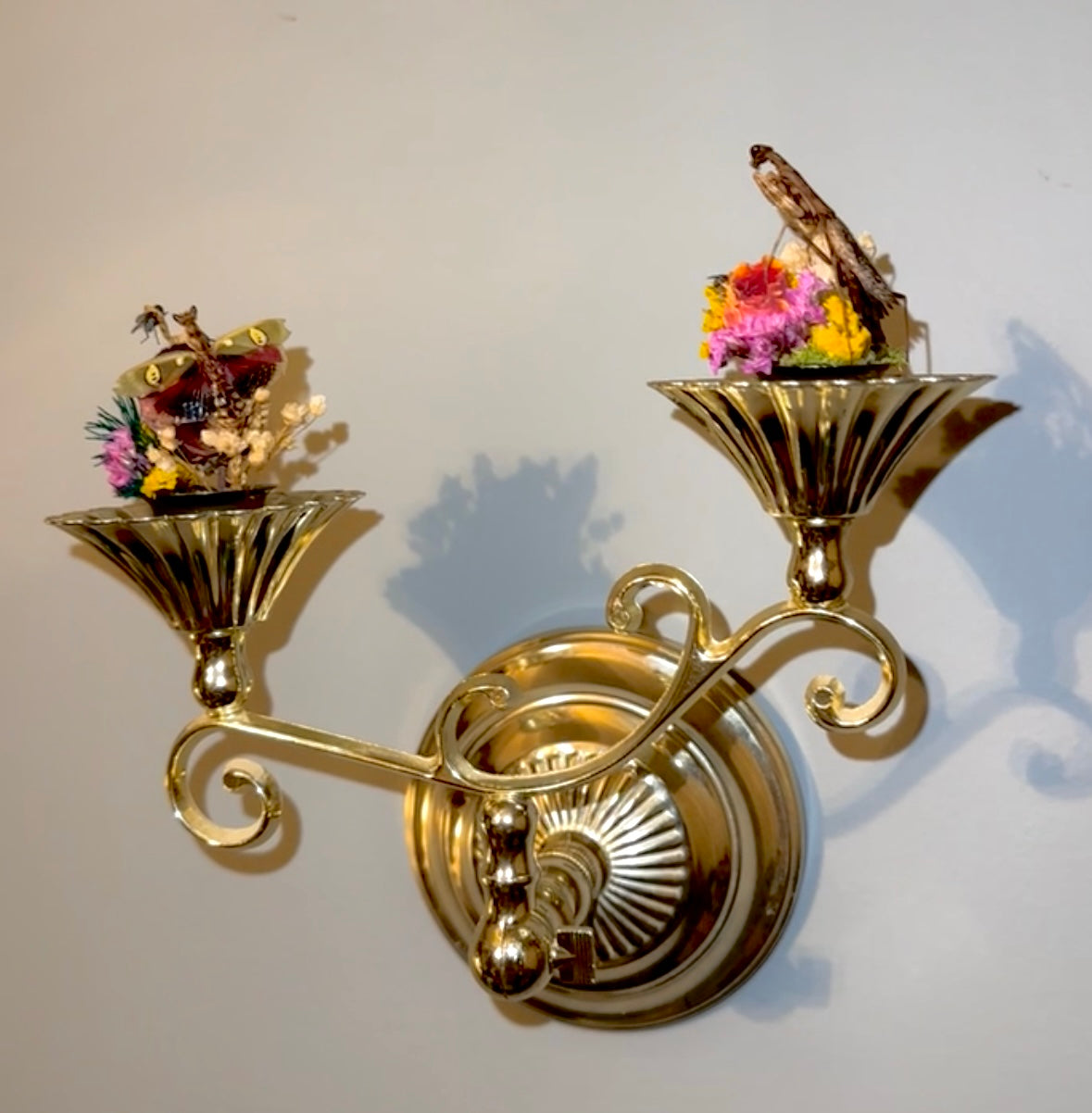 Battle of the mantids