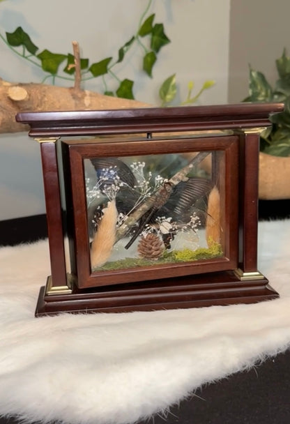 Incognito 2.0