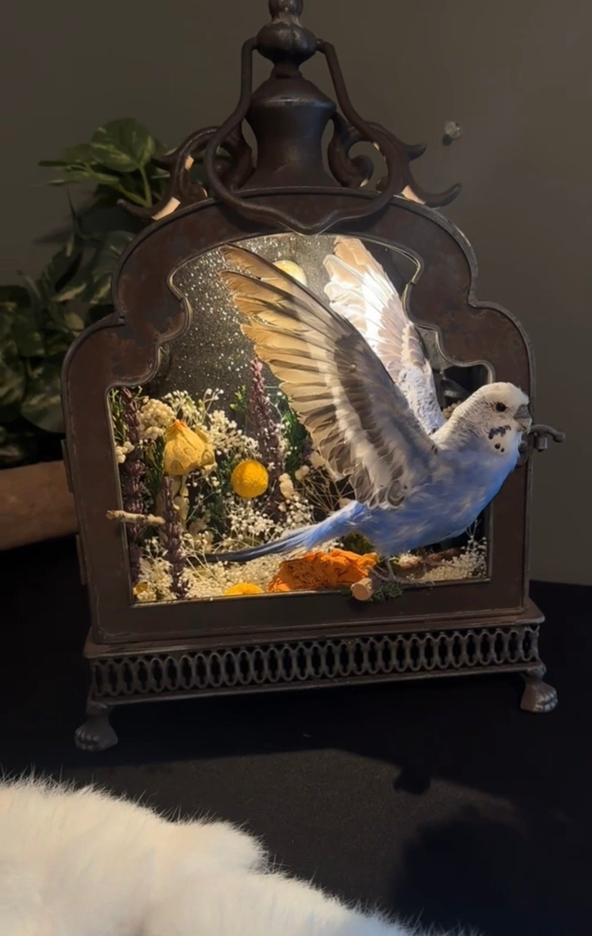 Bird lamp