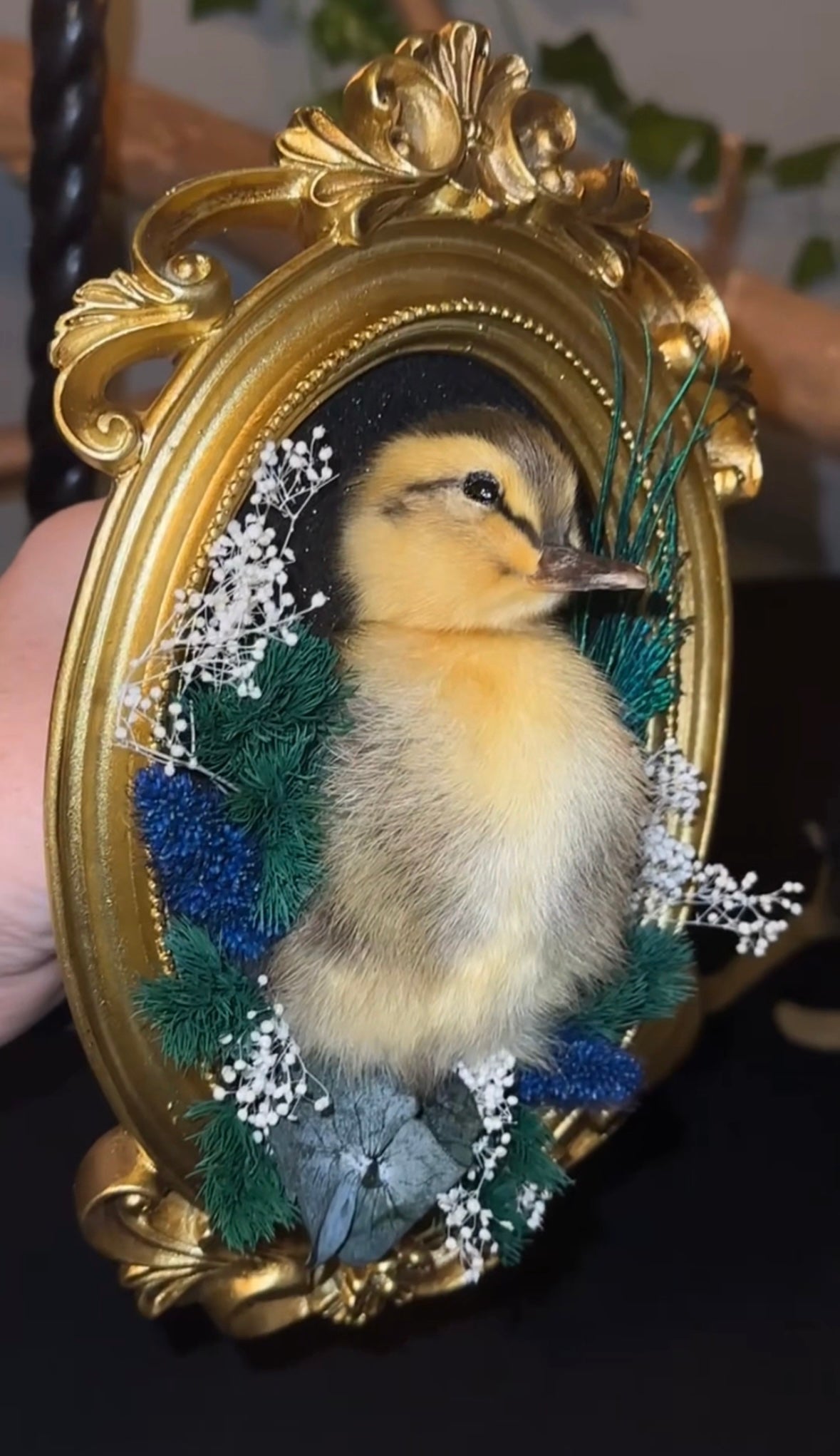 Duck mount