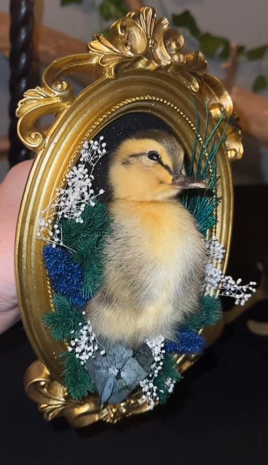 Duck mount