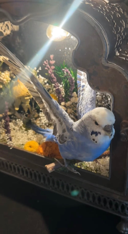 Bird lamp