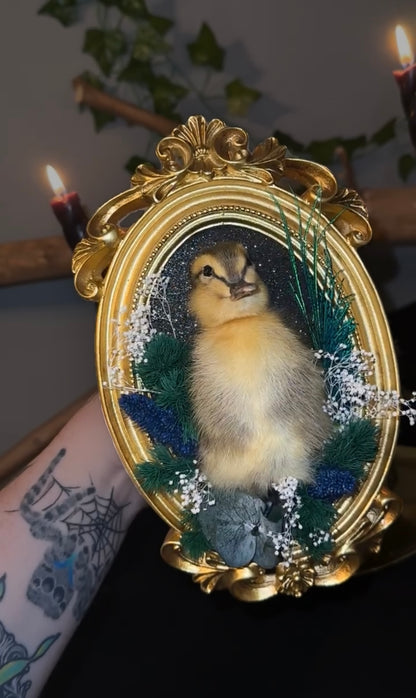 Duck mount