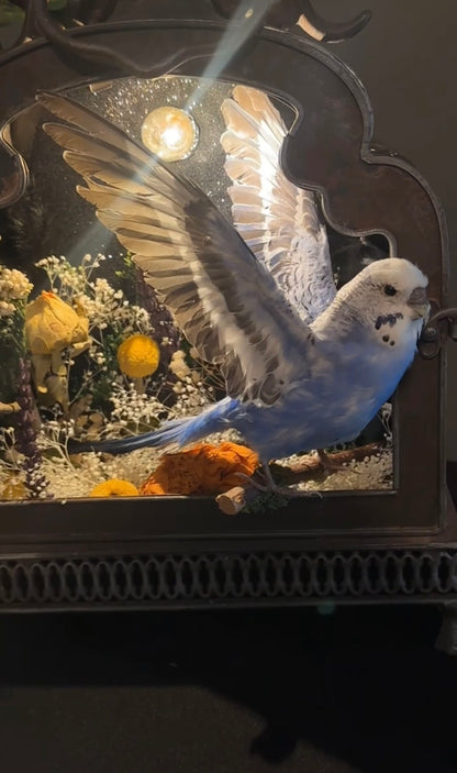 Bird lamp