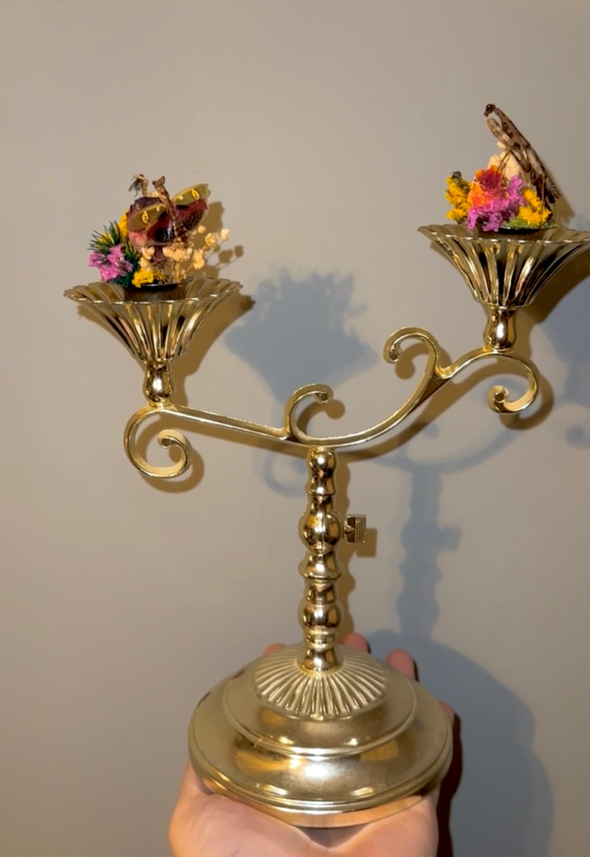 Battle of the mantids