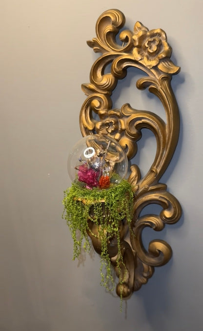 Humming bird moth wall sconce