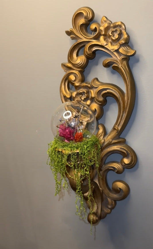 Humming bird moth wall sconce