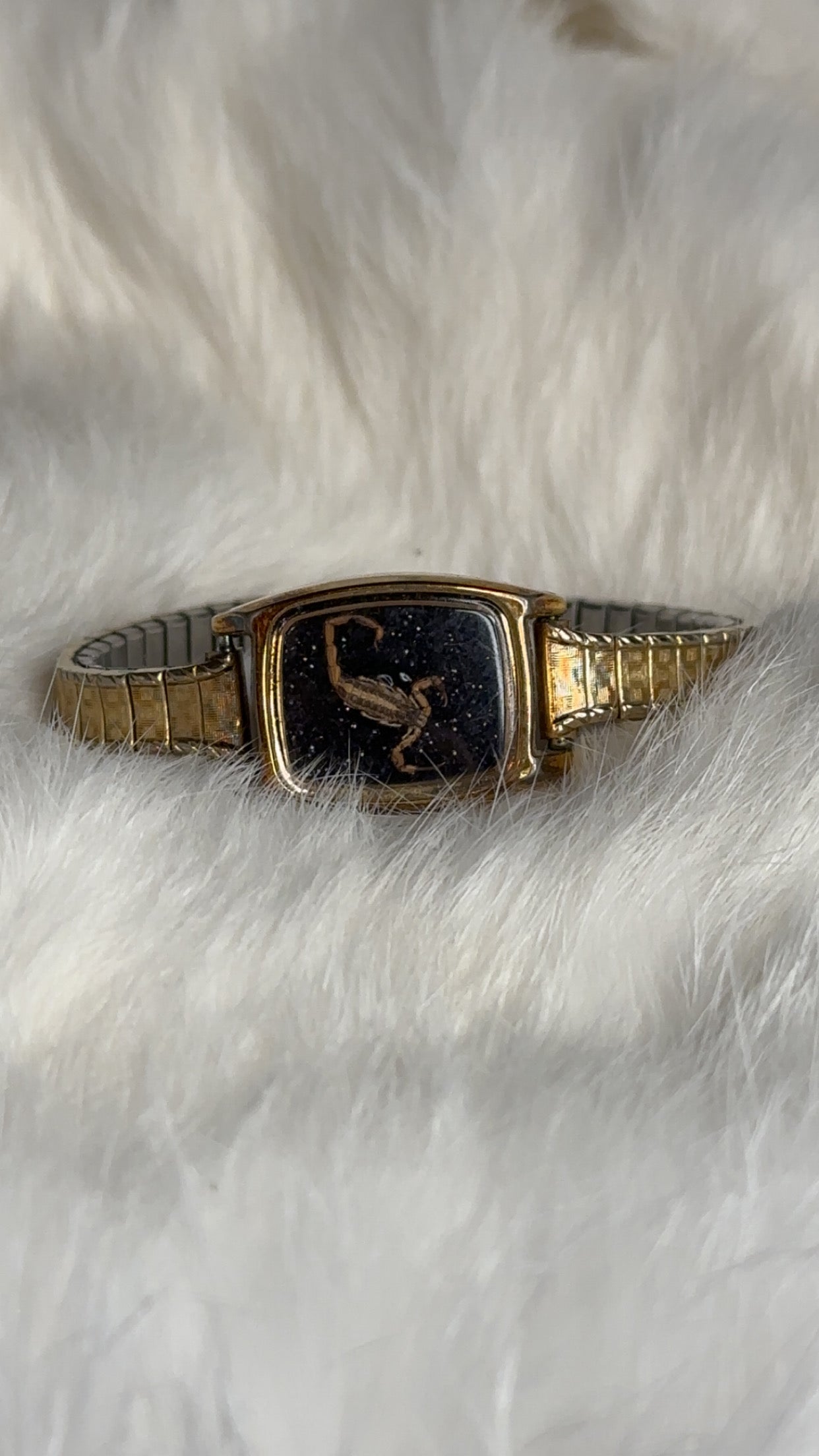 Scorpion 🦂 bracelet stretchy band