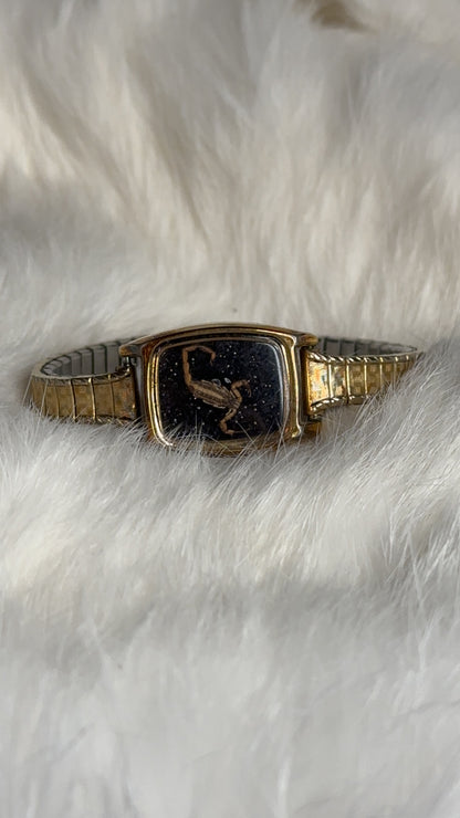 Scorpion 🦂 bracelet stretchy band