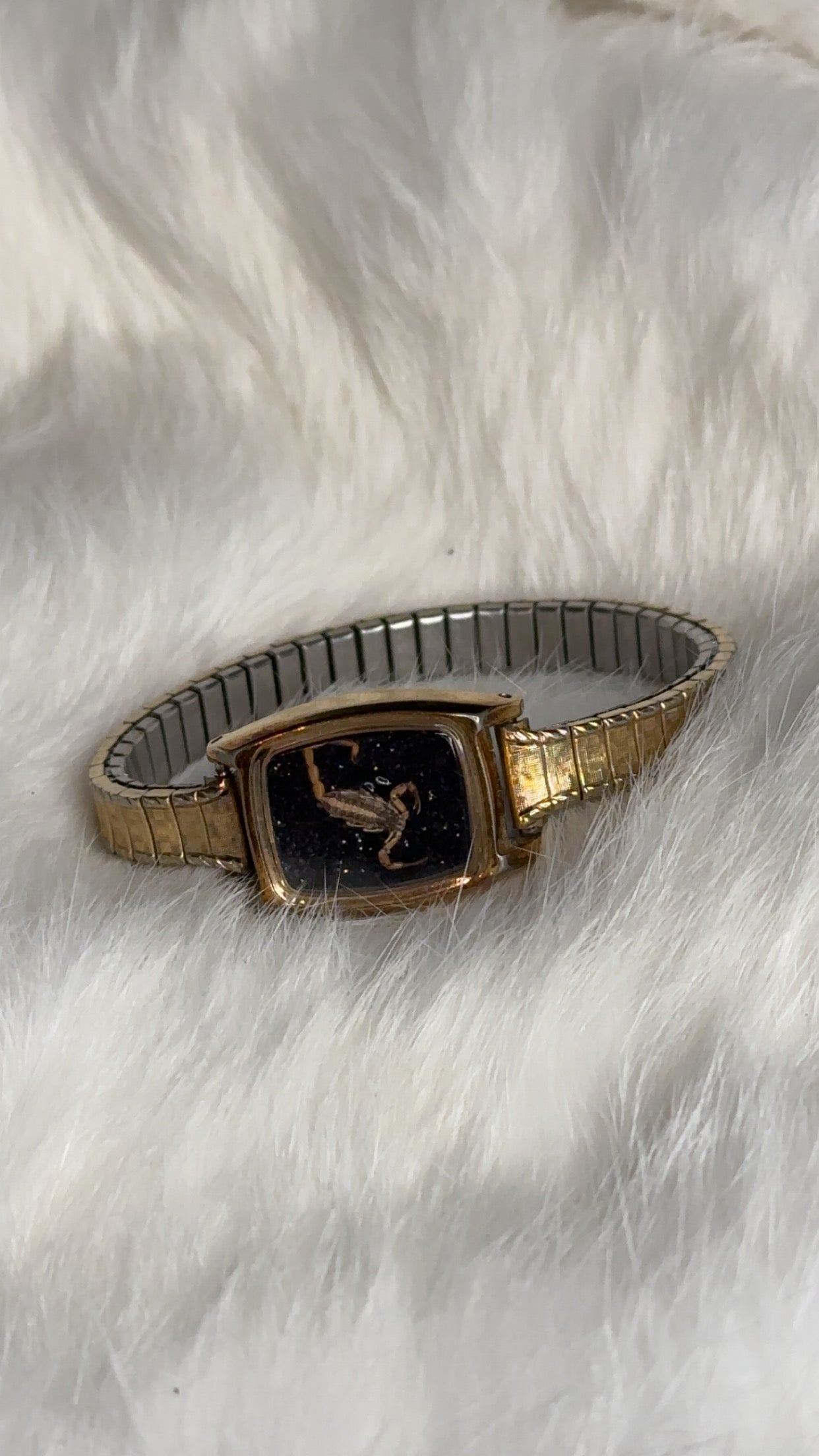 Scorpion 🦂 bracelet stretchy band