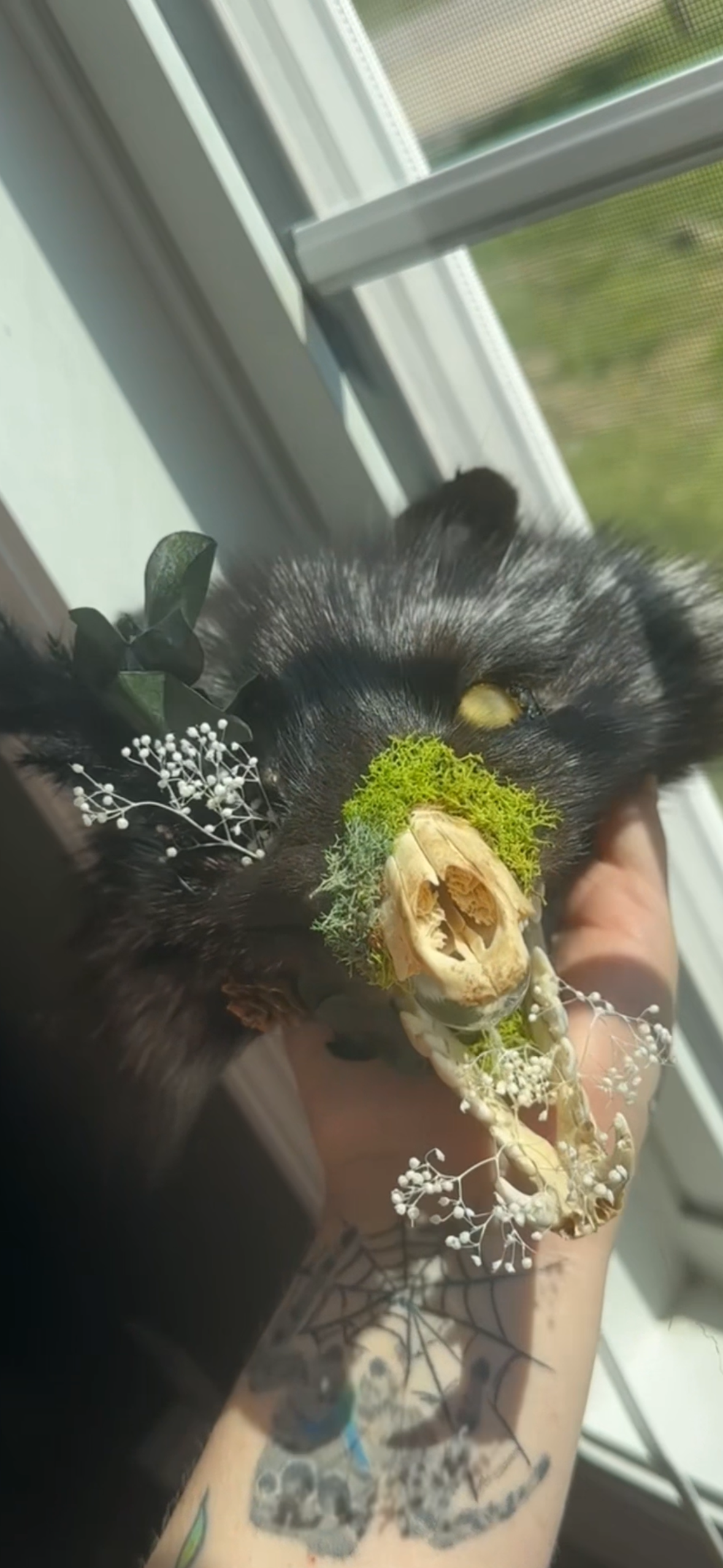 Taxidermy/skull Fox lamp