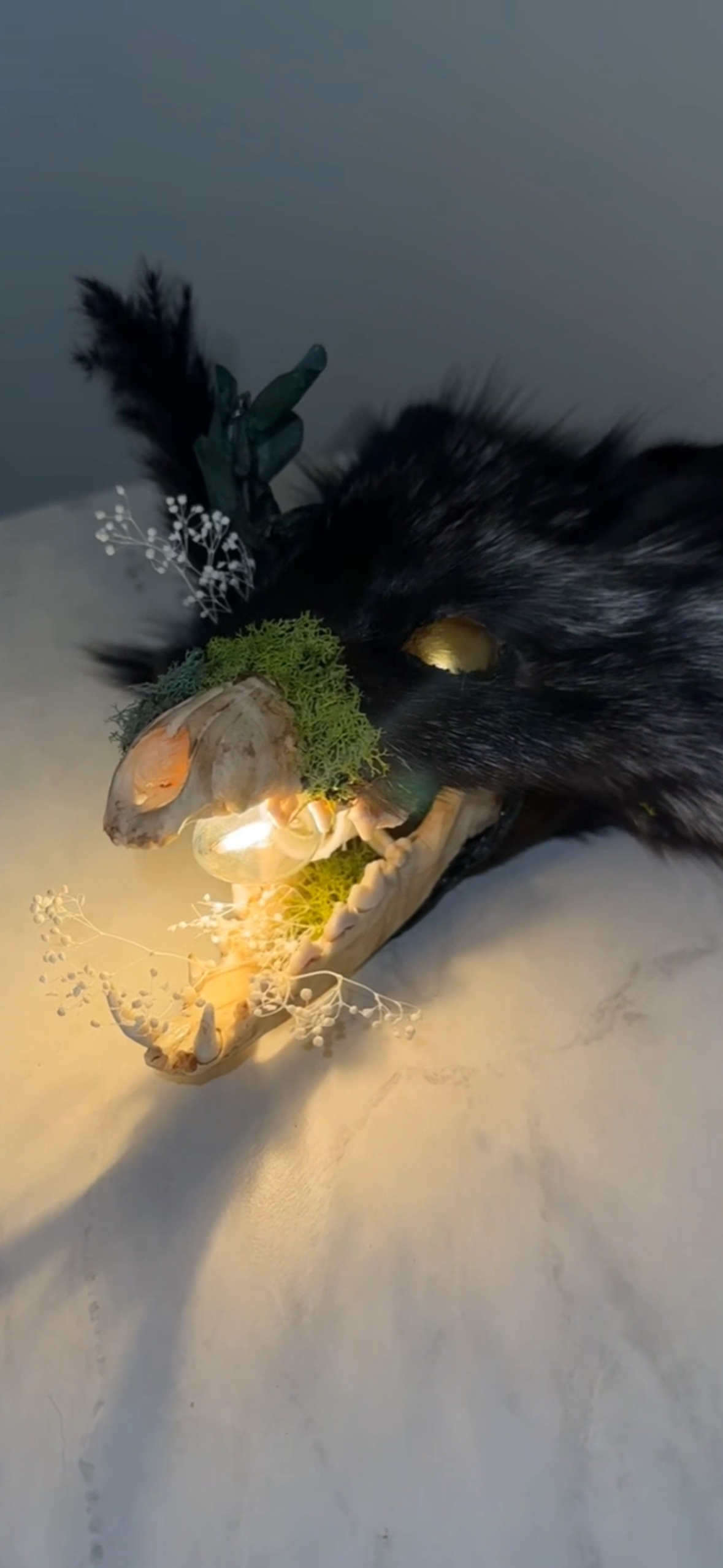 Taxidermy/skull Fox lamp