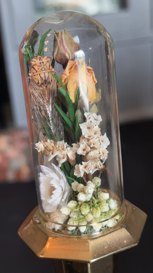 Cicada gold and roses