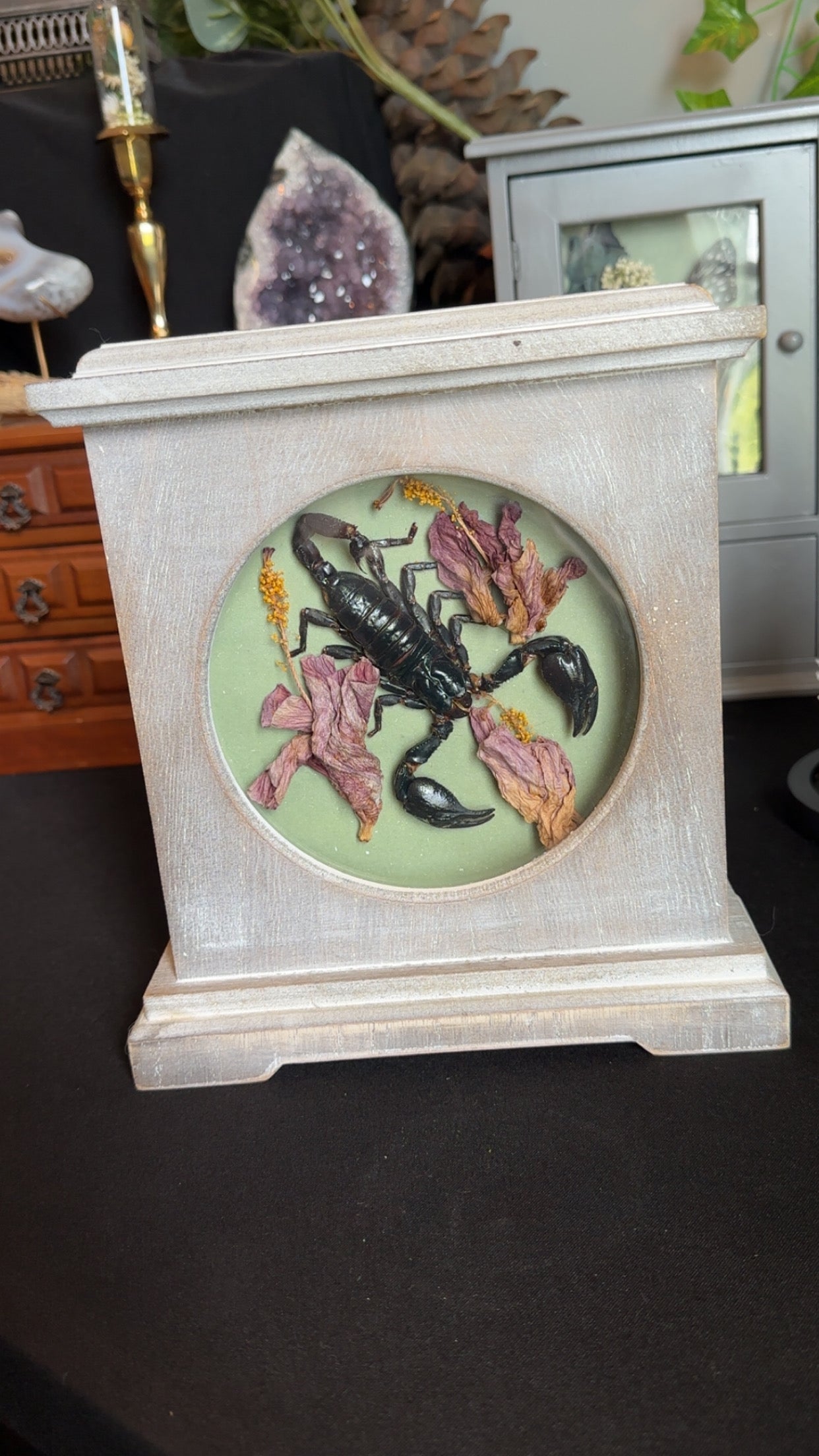Scorpion clock with hibiscus