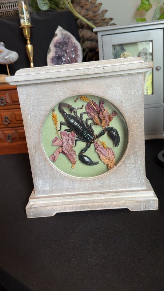Scorpion clock with hibiscus