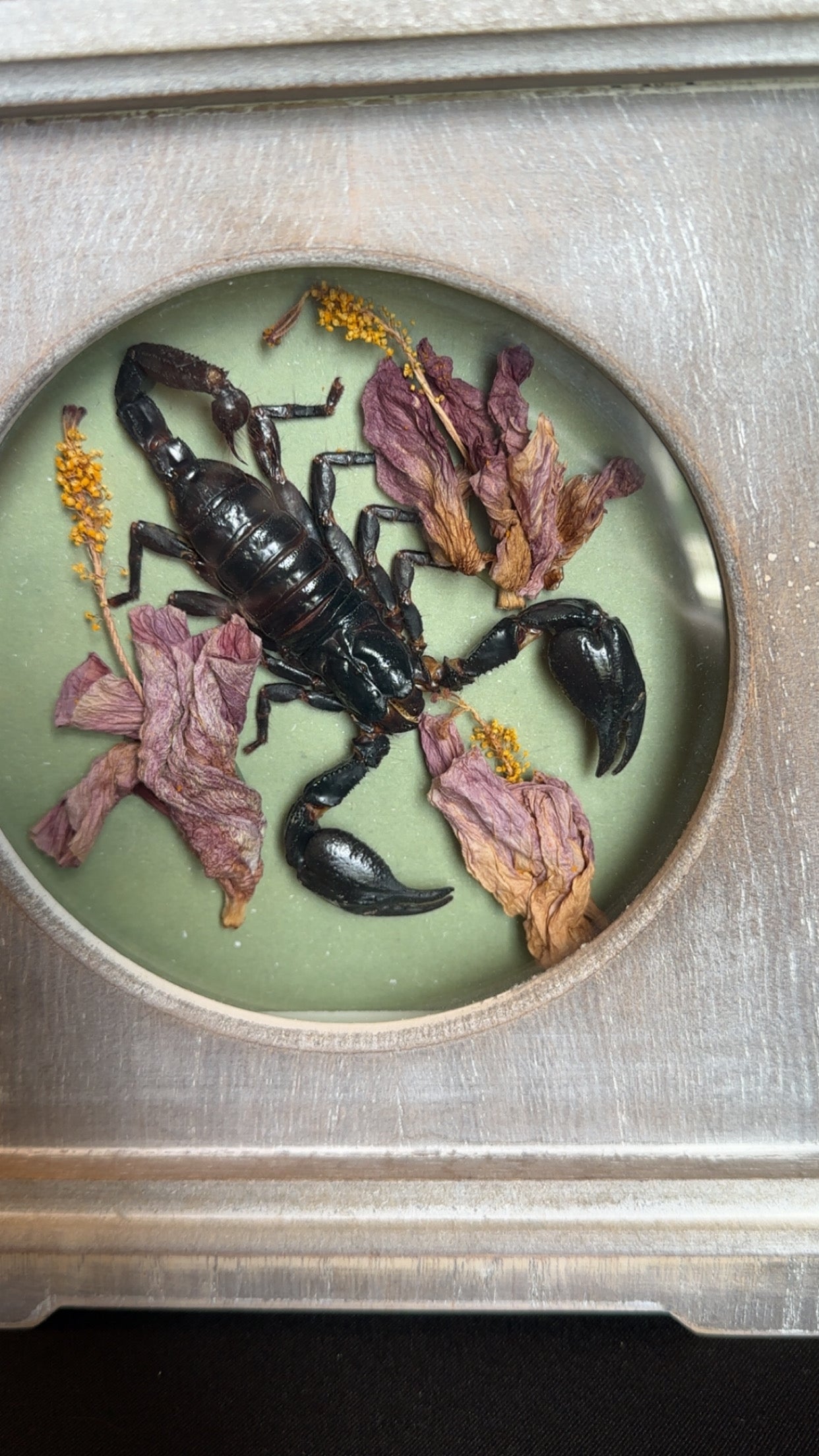 Scorpion clock with hibiscus