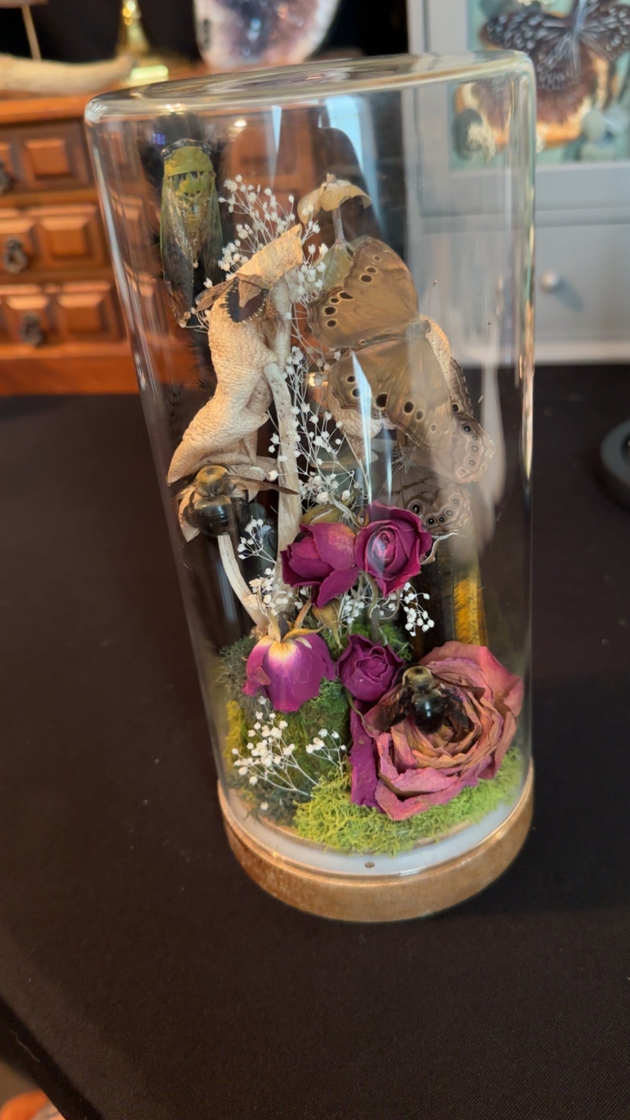 Jam packed! ( two bees, two butterflies, cicada, shield bug) tiger’s eye tower, crystal, and roses and mushrooms! ￼