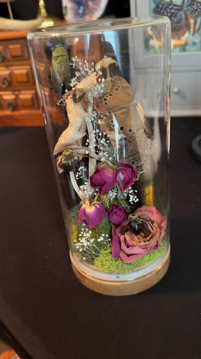 Jam packed! ( two bees, two butterflies, cicada, shield bug) tiger’s eye tower, crystal, and roses and mushrooms! ￼