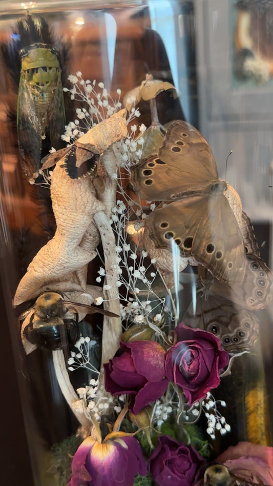 Jam packed! ( two bees, two butterflies, cicada, shield bug) tiger’s eye tower, crystal, and roses and mushrooms! ￼