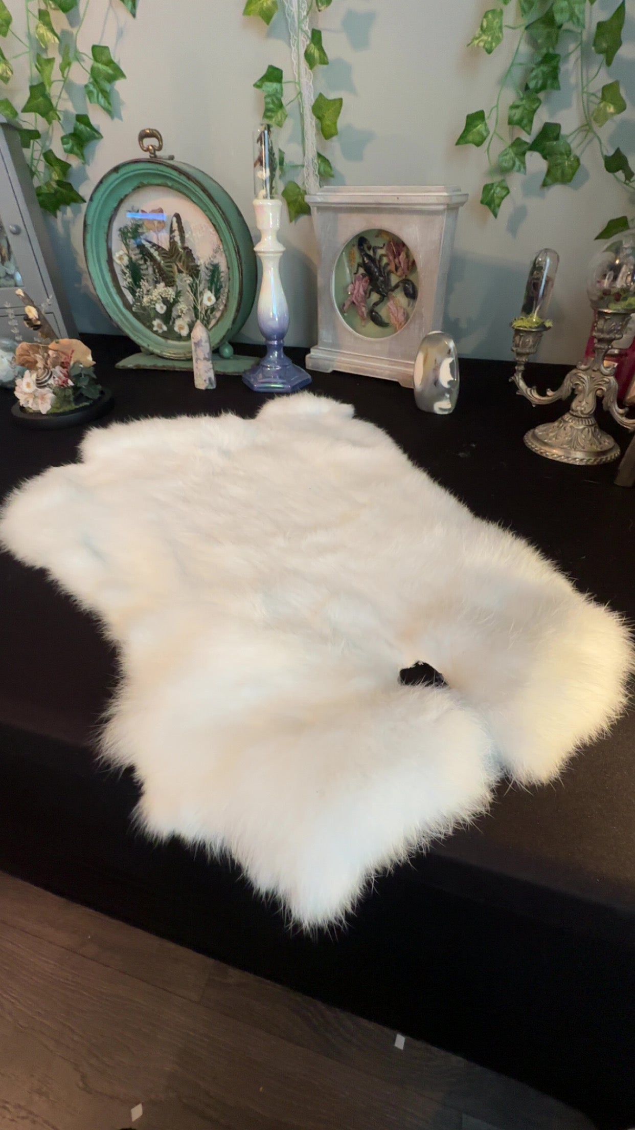 White rabbit pelt