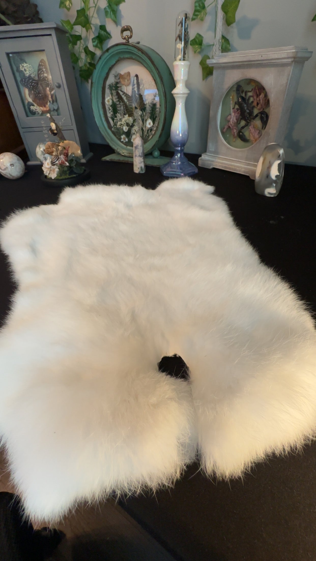 White rabbit pelt