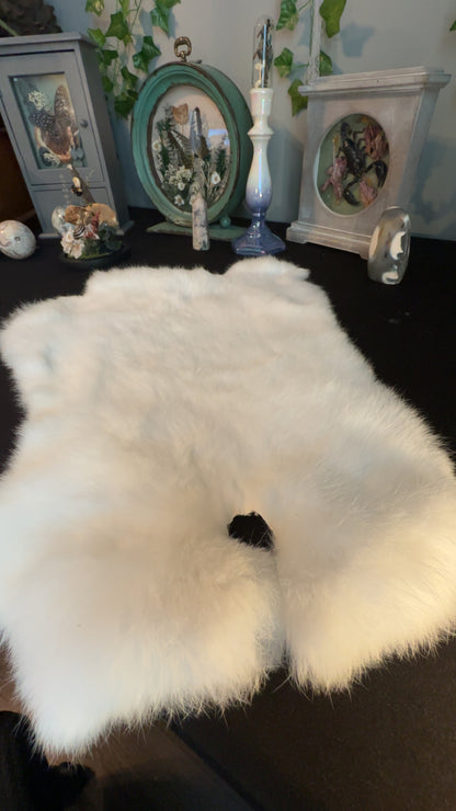 White rabbit pelt