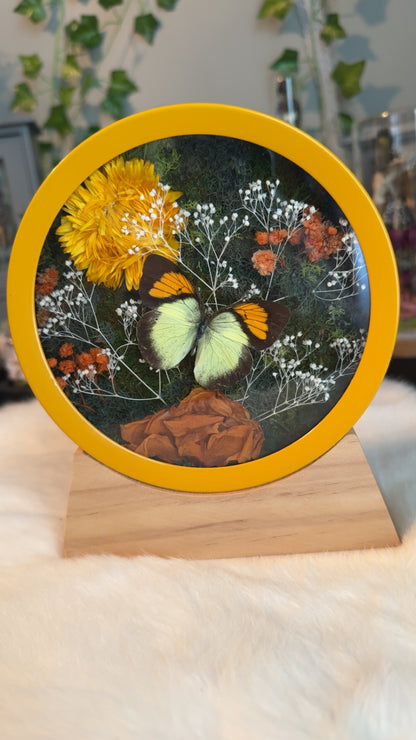 Little yellow clock