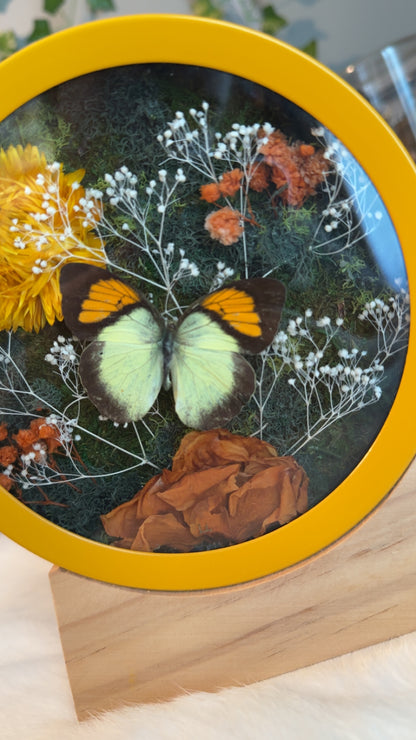 Little yellow clock