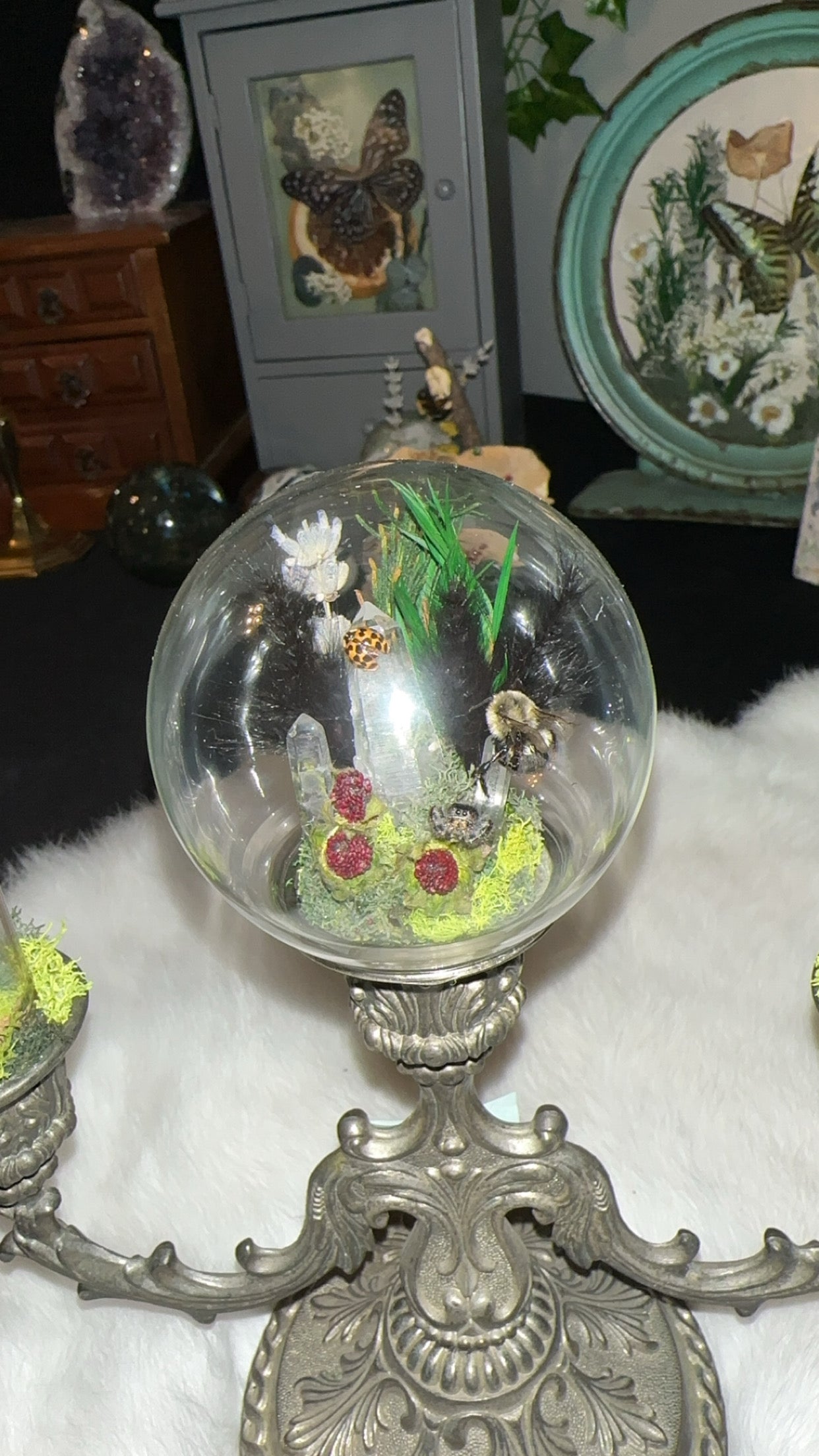 Jumping spider, ladybug, carpenter bee, frog leg beetle, bumblebee vintage candelabra ￼