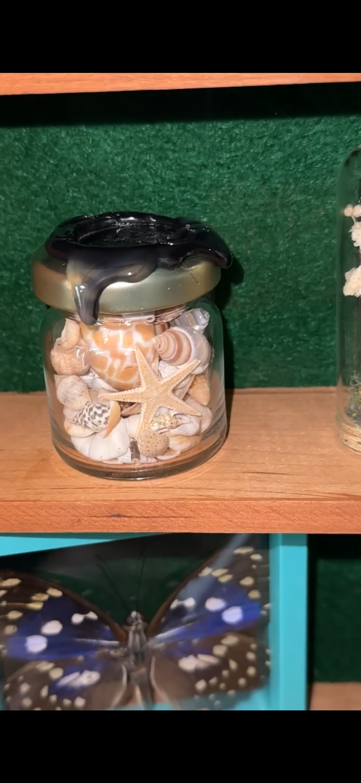 Oddity shelf