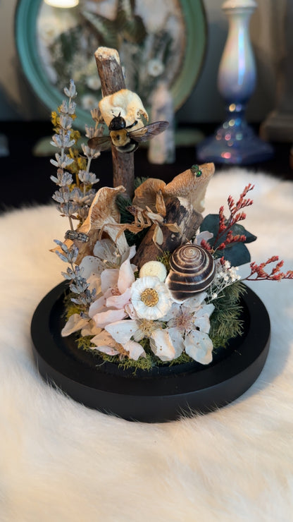 Orchid, mantis, snail, fly, mushrooms, and bee ￼