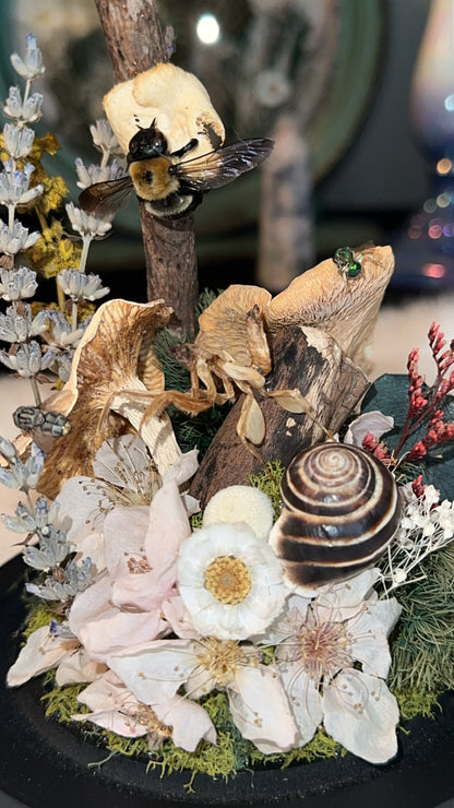 Orchid, mantis, snail, fly, mushrooms, and bee ￼