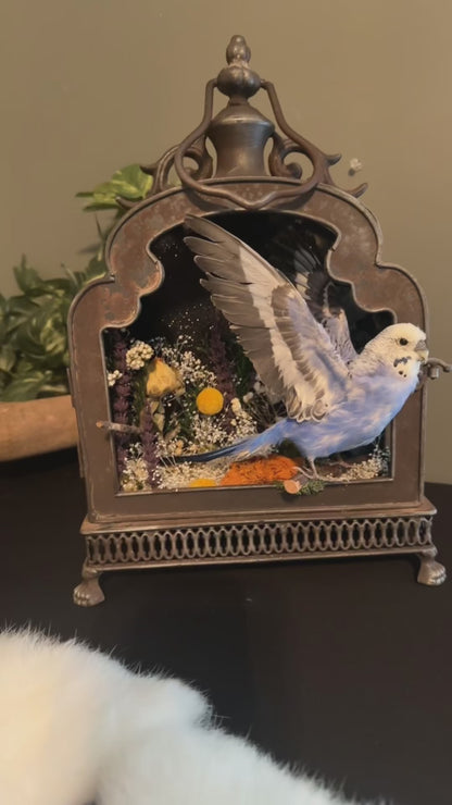Bird lamp